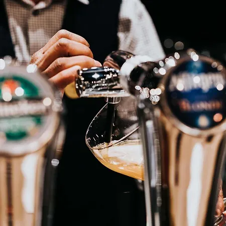 Novotel Centre Gare فندق أنجير